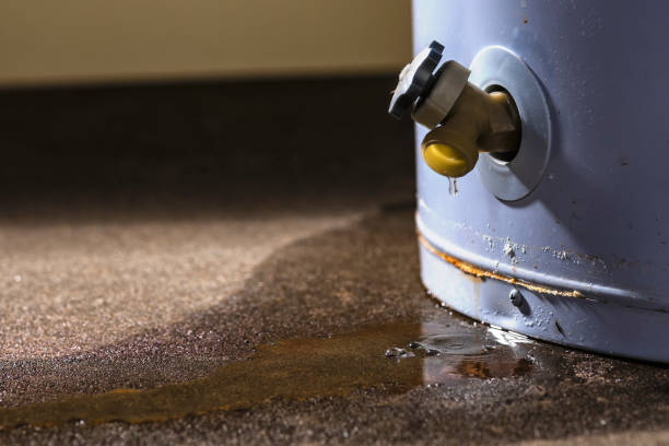 Best Carpet water damage restoration  in Odenton, MD