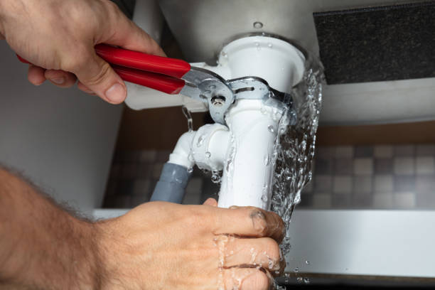 Best Professional water damage repair  in Odenton, MD