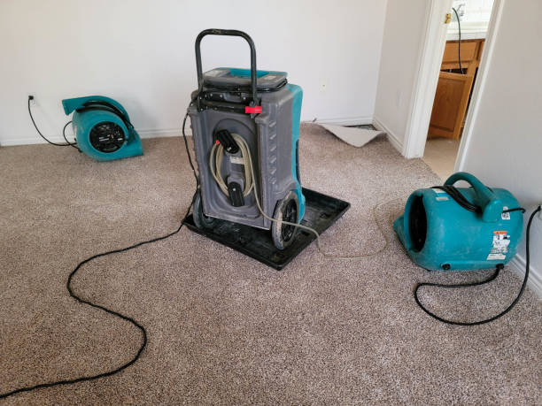 Best Water damage contractors near me  in Odenton, MD