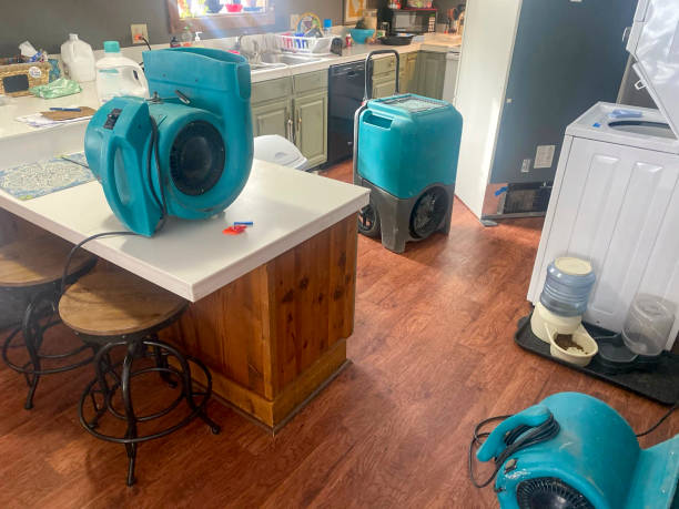 Best Water damage cleanup near me  in Odenton, MD