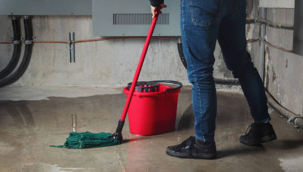 Best Flooded house restoration  in Odenton, MD