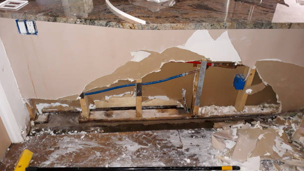 Best Local water damage restoration  in Odenton, MD