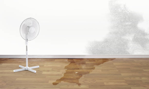 Best Fire Damage Restoration  in Odenton, MD