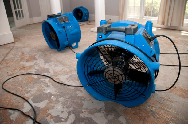 Best Ceiling water damage repair  in Odenton, MD