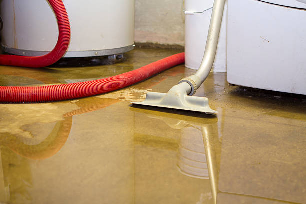Best Flood restoration services  in Odenton, MD