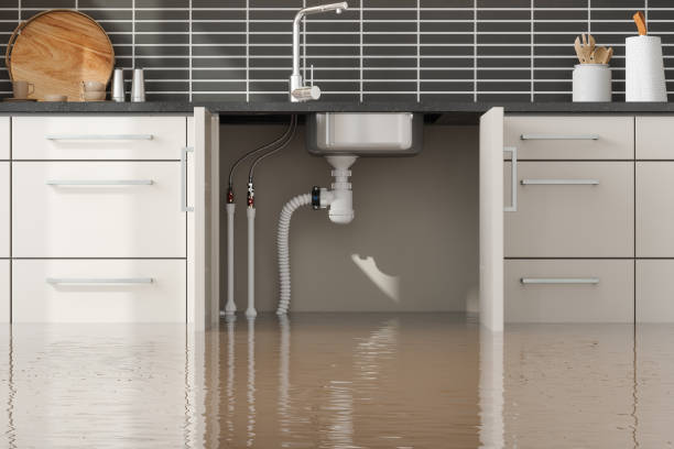  Odenton, MD Water damage restoration Pros