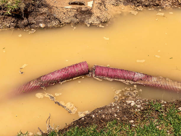 Best Water damage restoration near me  in Odenton, MD